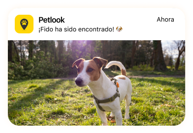 Notificación: Fido ha sido encontrado